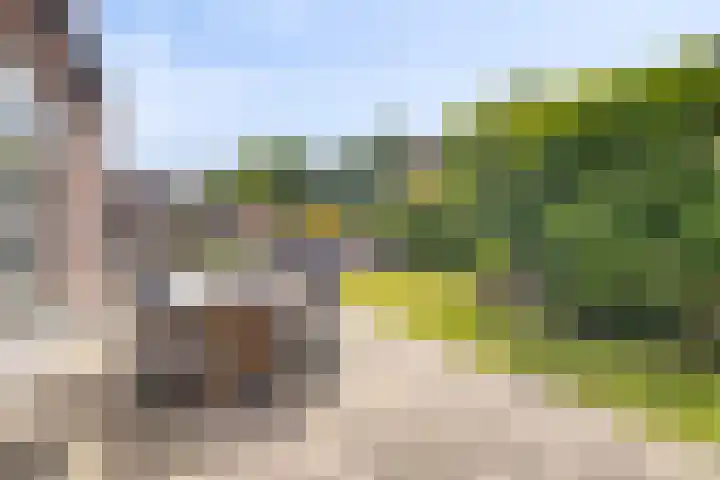 Buitenkruier 83 Stompetoren thumbnail 35
