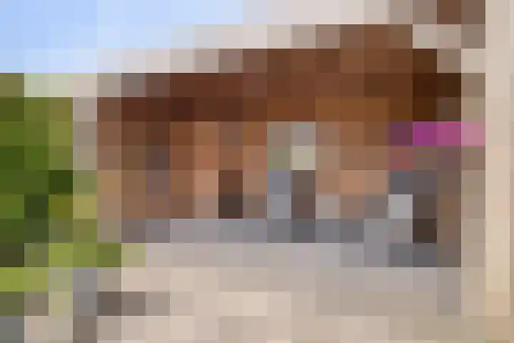 Buitenkruier 83 Stompetoren thumbnail 36