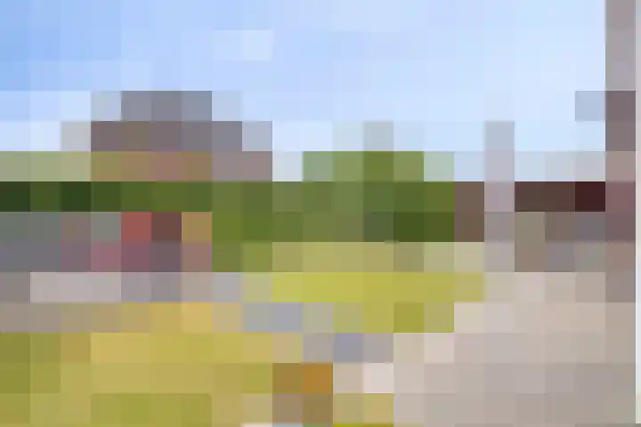 Buitenkruier 83 Stompetoren thumbnail 37