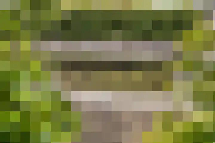 Buitenkruier 83 Stompetoren thumbnail 38