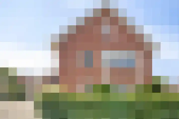 Buitenkruier 83 Stompetoren thumbnail 40