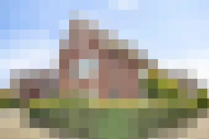 Buitenkruier 83 Stompetoren thumbnail 41