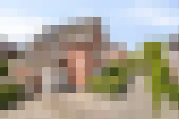 Buitenkruier 83 Stompetoren thumbnail 42