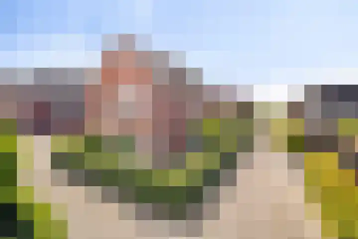 Buitenkruier 83 Stompetoren thumbnail 43