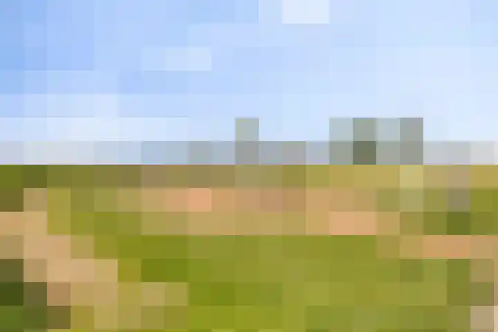 Buitenkruier 83 Stompetoren thumbnail 44