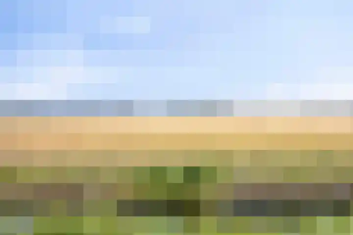 Buitenkruier 83 Stompetoren thumbnail 45