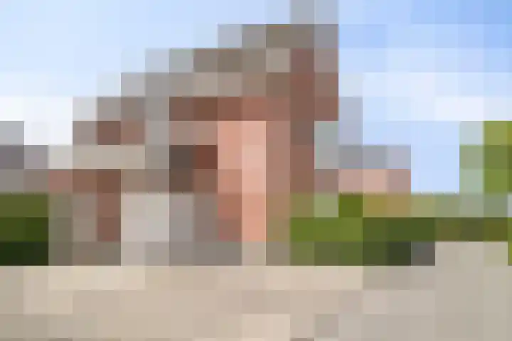 Buitenkruier 83 Stompetoren thumbnail 7