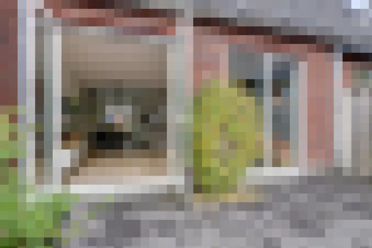 Buitenkruier 93 Stompetoren thumbnail 10