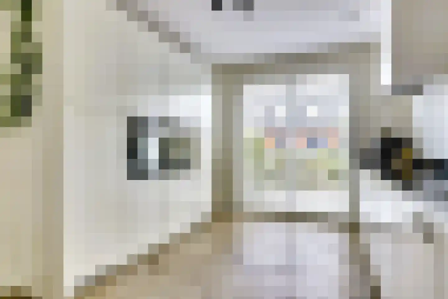 Buitenkruier 93 Stompetoren thumbnail 15