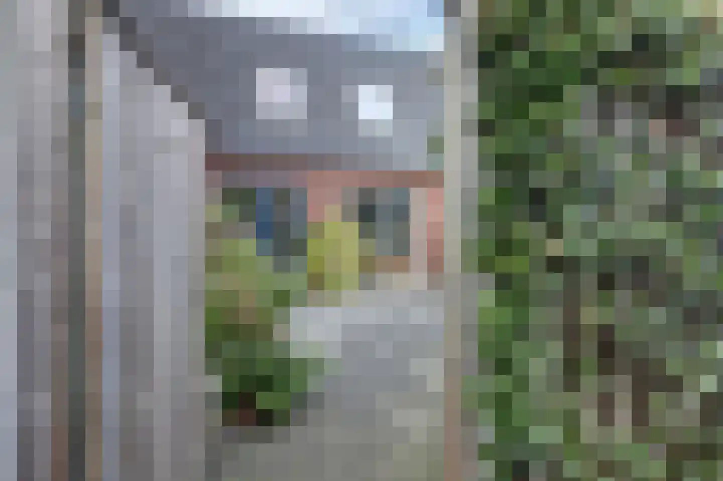 Buitenkruier 93 Stompetoren thumbnail 38