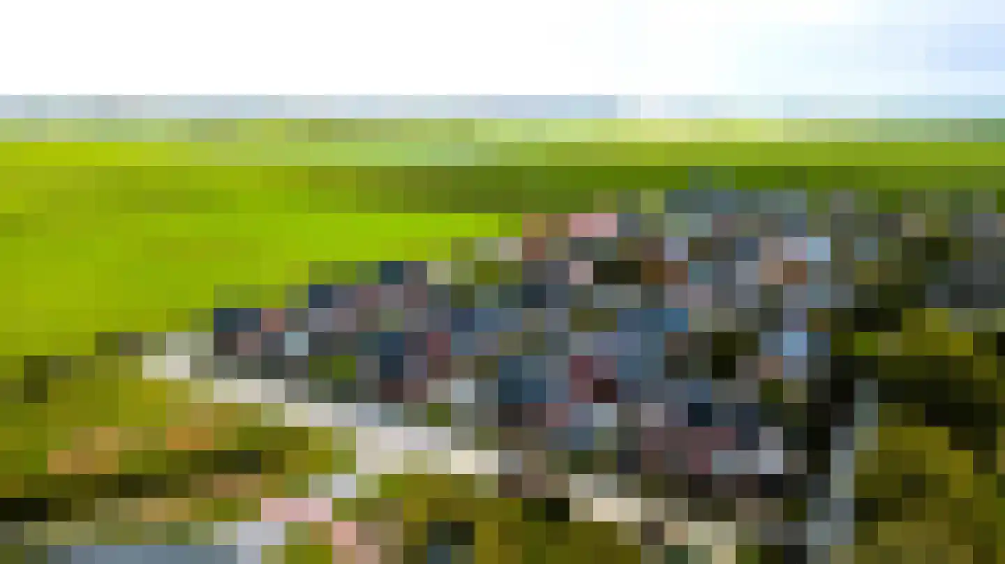 Buitenkruier 93 Stompetoren thumbnail 40