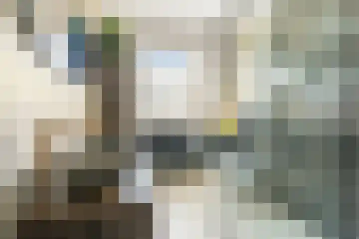 Buitenkruier 94 Stompetoren thumbnail 15