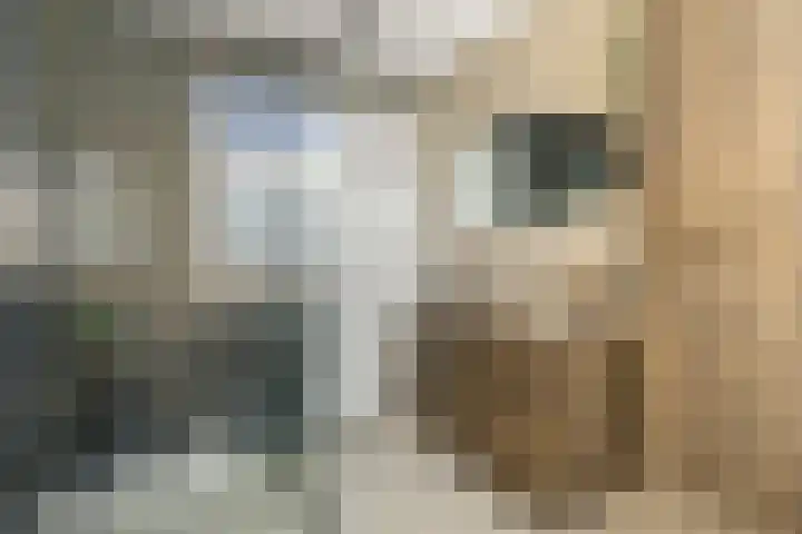 Buitenkruier 94 Stompetoren thumbnail 16