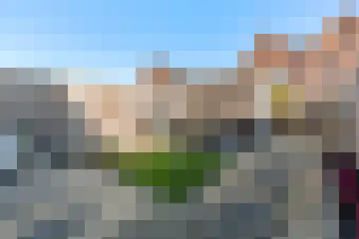 Buitenkruier 94 Stompetoren thumbnail 20