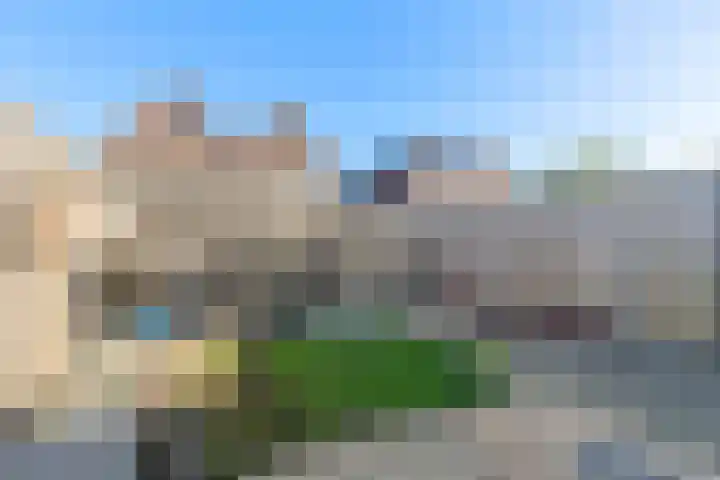 Buitenkruier 94 Stompetoren thumbnail 21