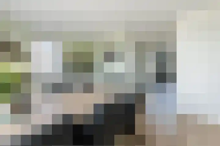 Buitenkruier 99 Stompetoren thumbnail 16