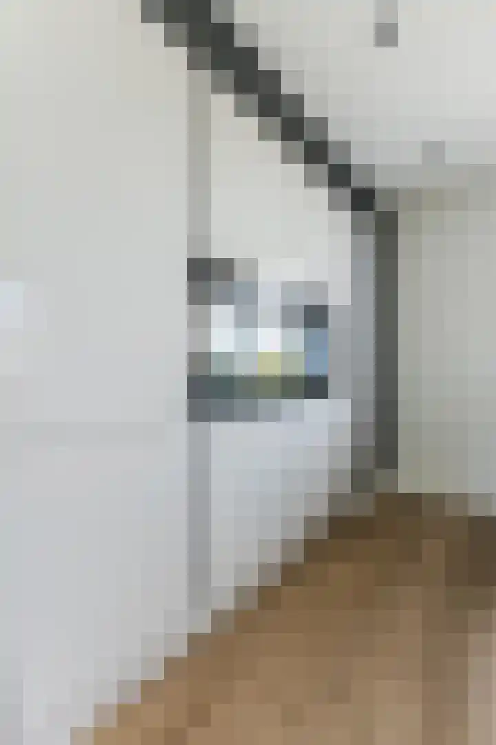 Buitenkruier 99 Stompetoren thumbnail 17