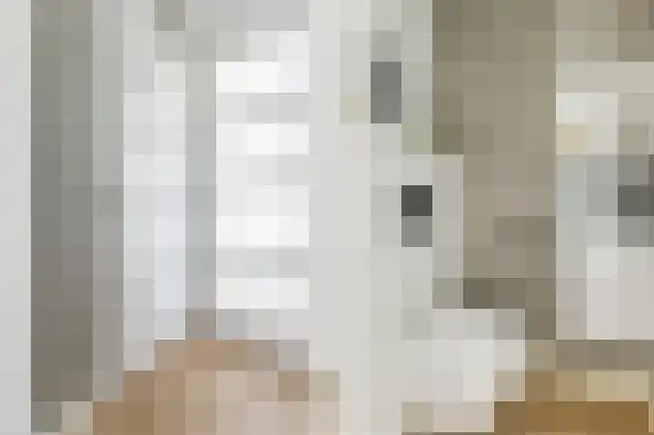 Buitenkruier 99 Stompetoren thumbnail 25