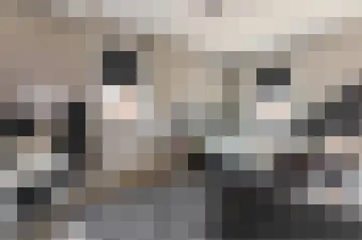 Buitenkruier 99 Stompetoren thumbnail 29