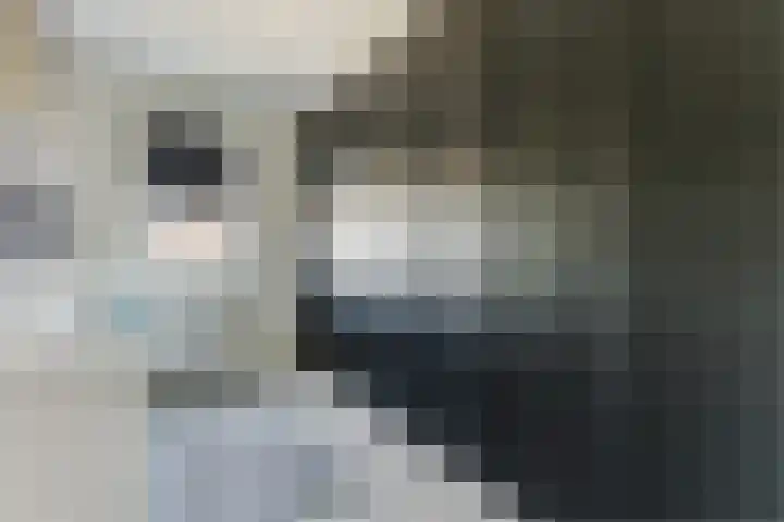 Buitenkruier 99 Stompetoren thumbnail 32