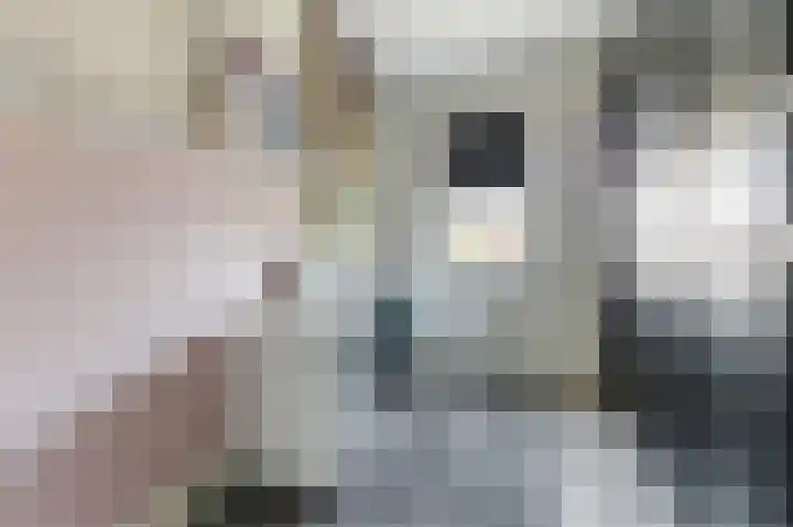 Buitenkruier 99 Stompetoren thumbnail 33