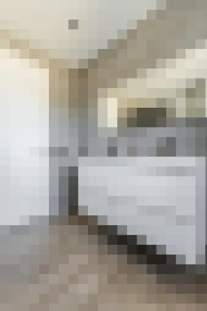 Buitenkruier 99 Stompetoren thumbnail 39