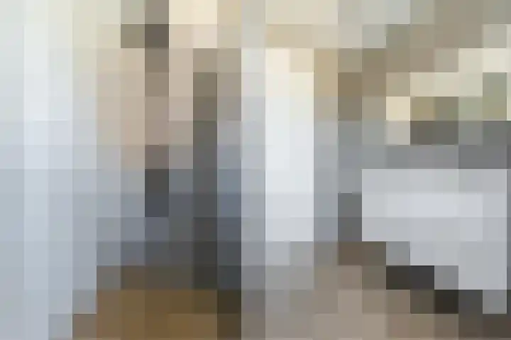 Buitenkruier 99 Stompetoren thumbnail 40