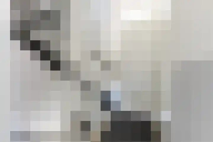 Buitenkruier 99 Stompetoren thumbnail 43