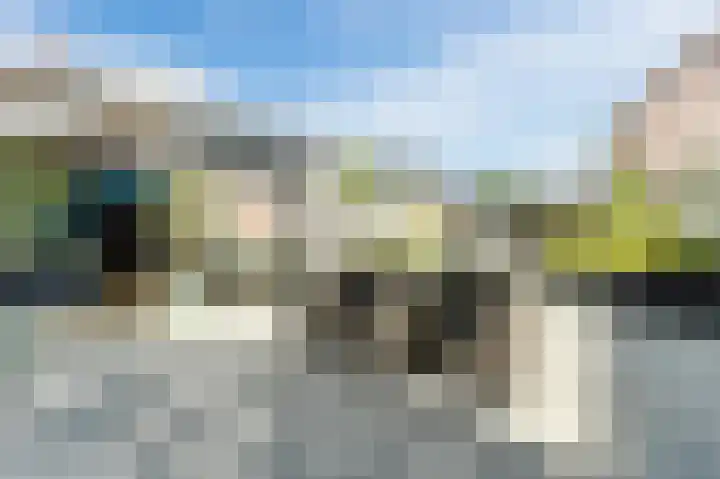 Buitenkruier 99 Stompetoren thumbnail 57