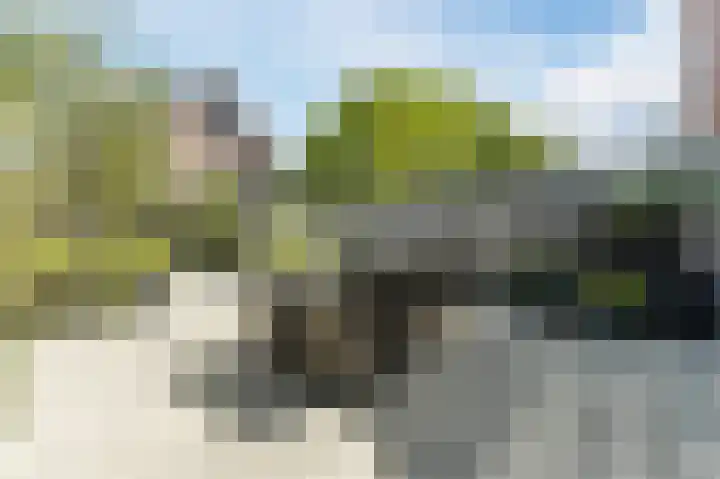 Buitenkruier 99 Stompetoren thumbnail 58