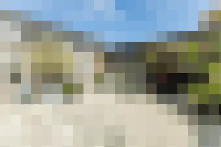 Buitenkruier 99 Stompetoren thumbnail 59