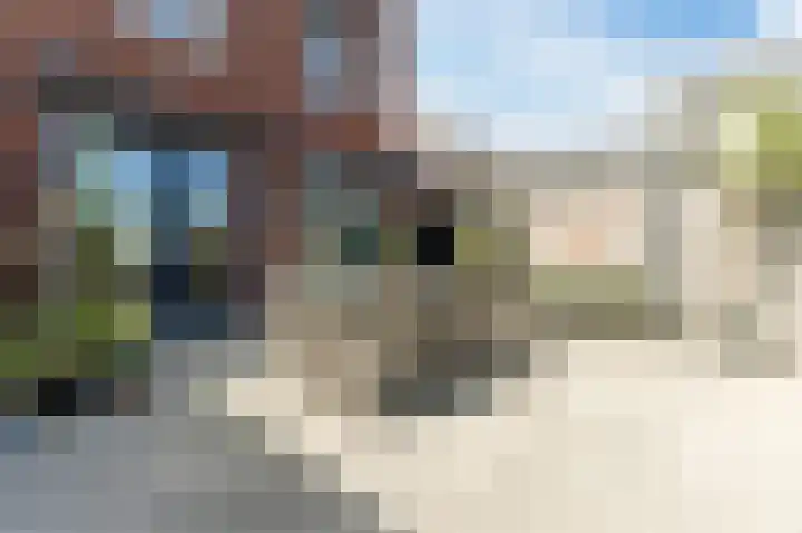 Buitenkruier 99 Stompetoren thumbnail 61