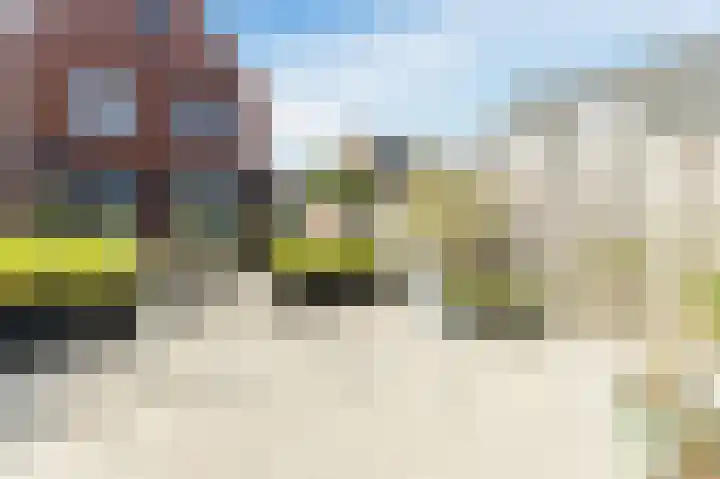 Buitenkruier 99 Stompetoren thumbnail 62