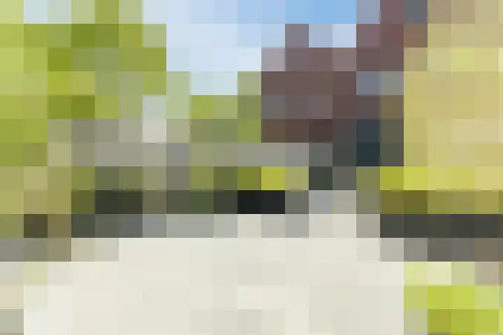 Buitenkruier 99 Stompetoren thumbnail 63