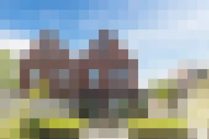 Buitenkruier 99 Stompetoren thumbnail 64