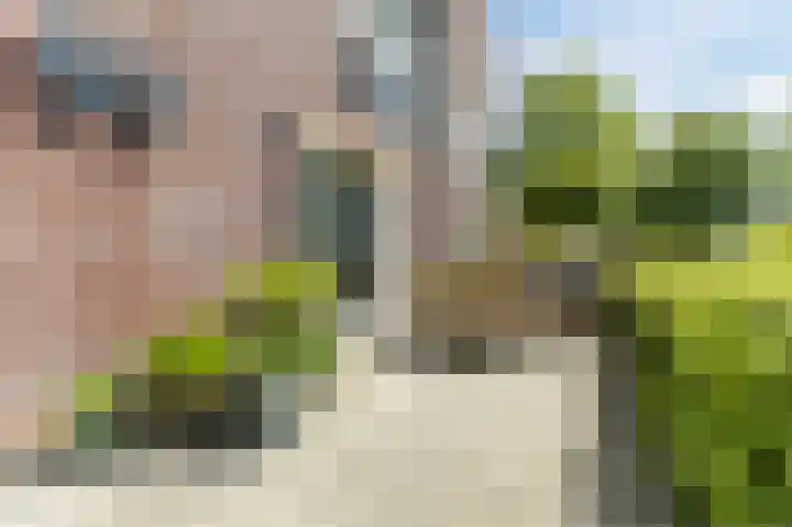Buitenkruier 99 Stompetoren thumbnail 65