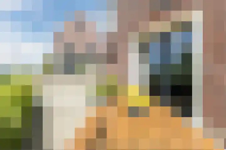 Buitenkruier 99 Stompetoren thumbnail 66