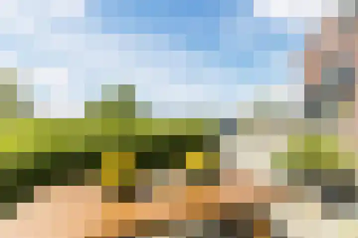 Buitenkruier 99 Stompetoren thumbnail 67