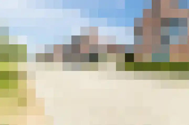 Buitenkruier 99 Stompetoren thumbnail 68