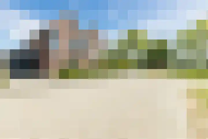 Buitenkruier 99 Stompetoren thumbnail 69