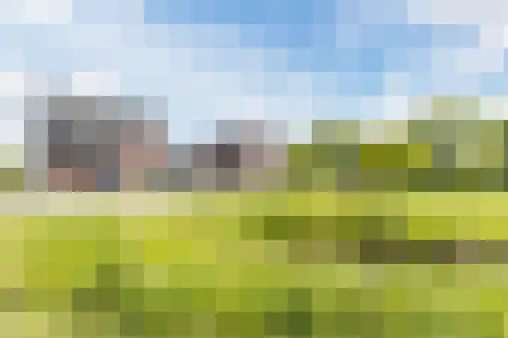 Buitenkruier 99 Stompetoren thumbnail 70