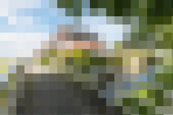 Buitenkruier 99 Stompetoren thumbnail 71