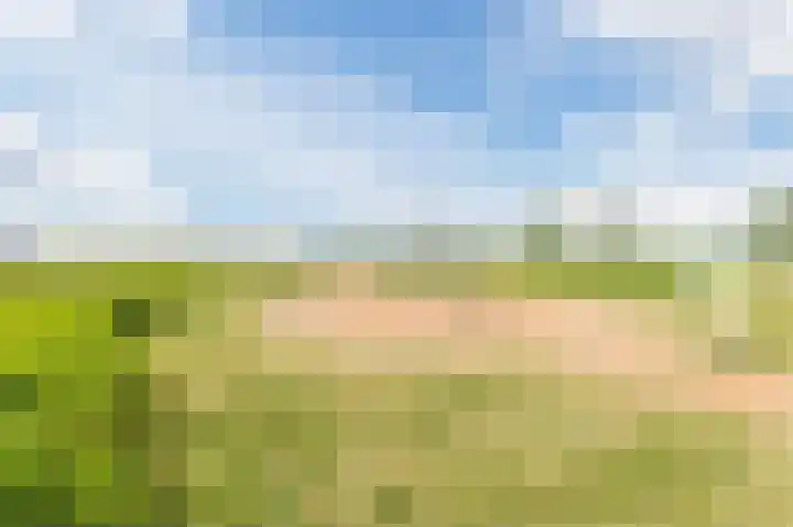 Buitenkruier 99 Stompetoren thumbnail 73
