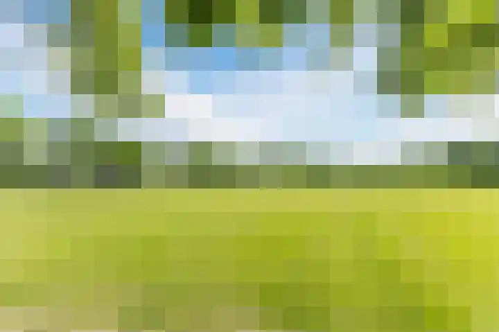 Buitenkruier 99 Stompetoren thumbnail 74