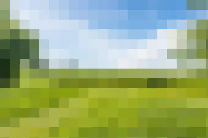 Buitenkruier 99 Stompetoren thumbnail 75