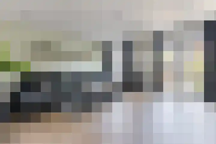Buitenkruier 99 Stompetoren thumbnail 8