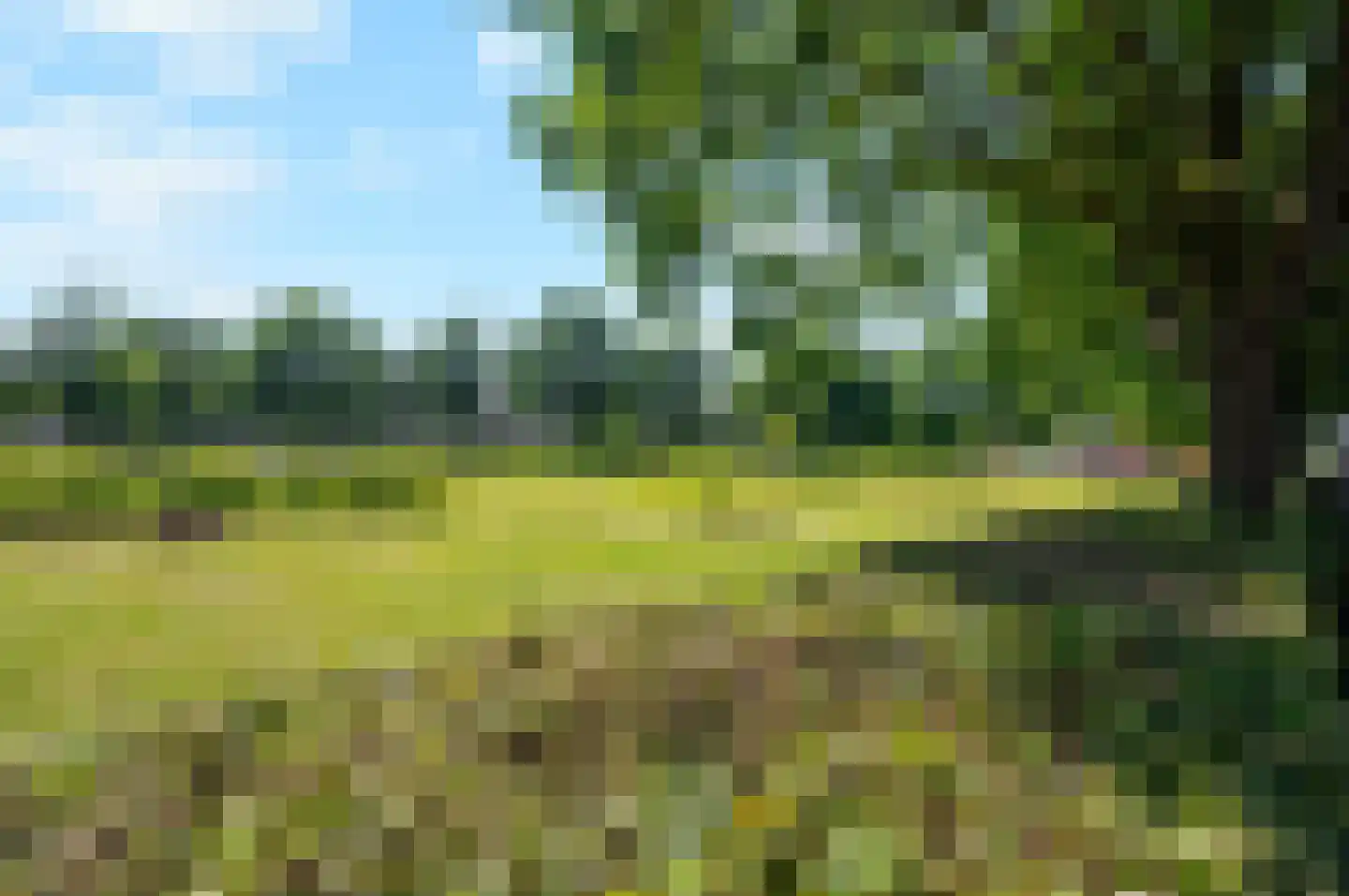 Buitenkruierstraat 53 Almere thumbnail 34
