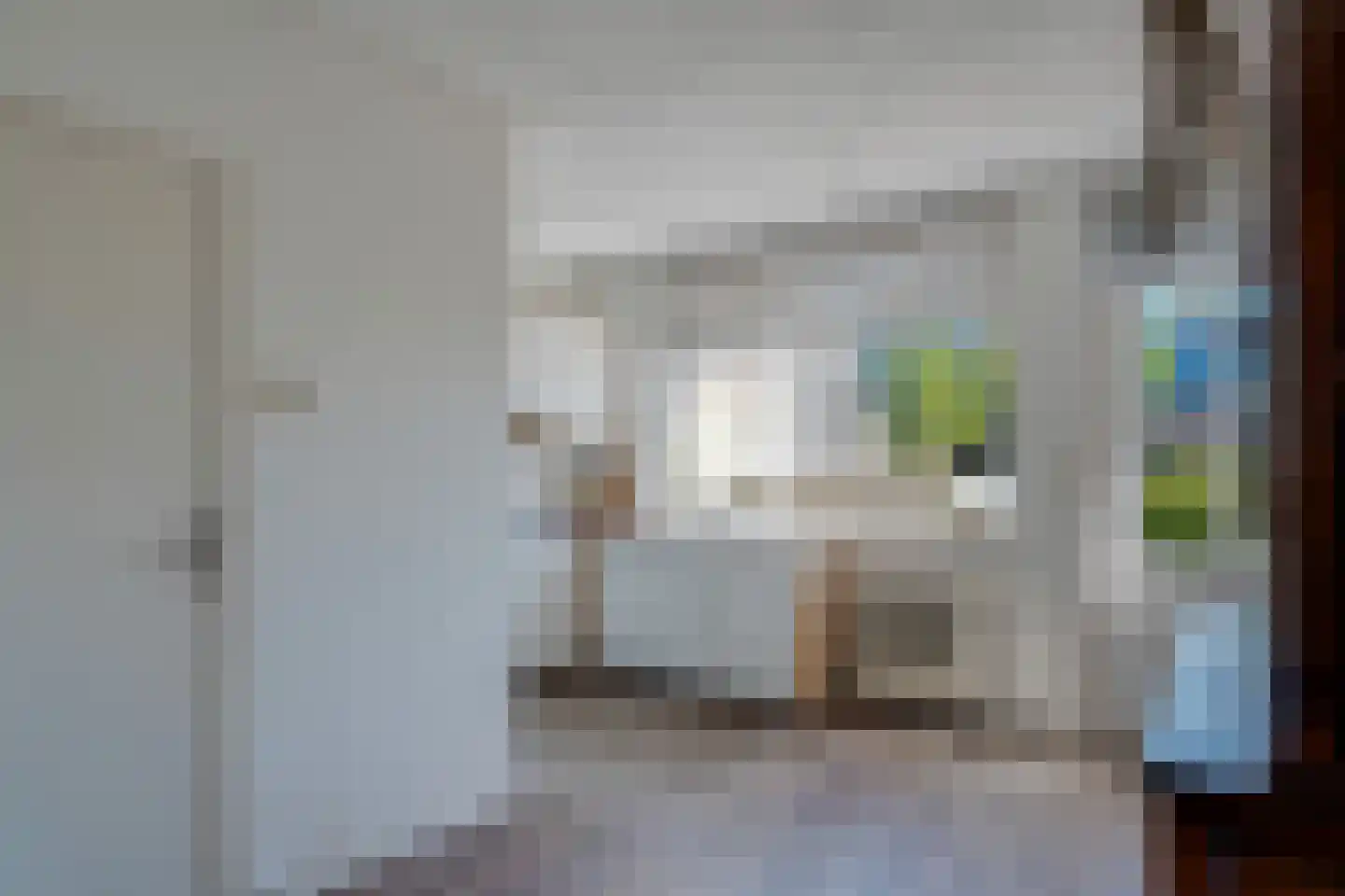Buitenkwartier 13 Zwartsluis thumbnail 12