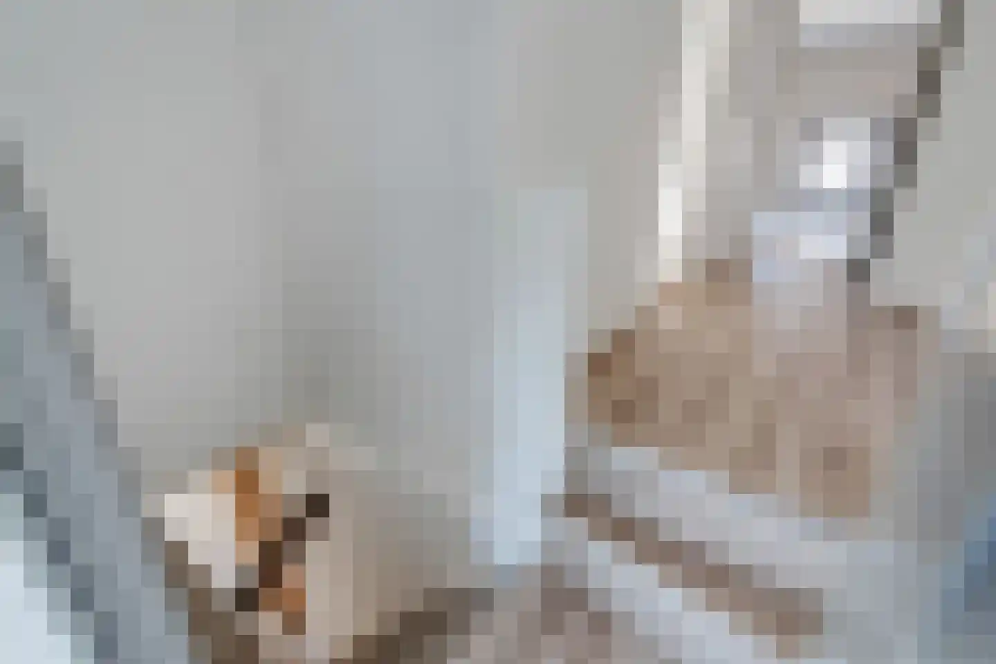 Buitenkwartier 13 Zwartsluis thumbnail 24