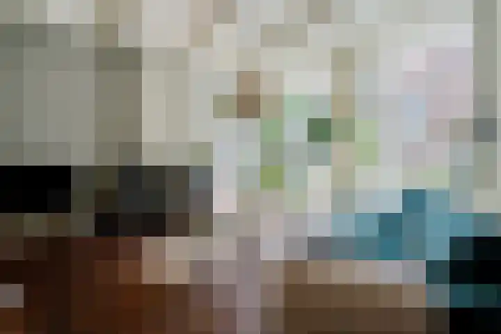 Buitenkwartier 22 Zwartsluis thumbnail 12
